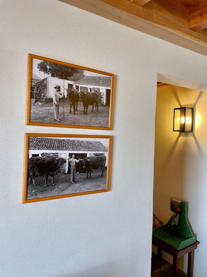 Casa Do Avo Jose Alves Villa Praia da Vitória Екстериор снимка